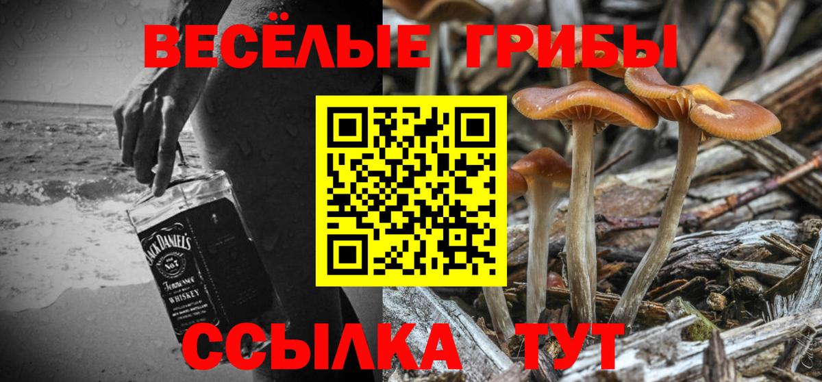 Псилоцибиновые грибы GOLDEN TEACHER Ейск